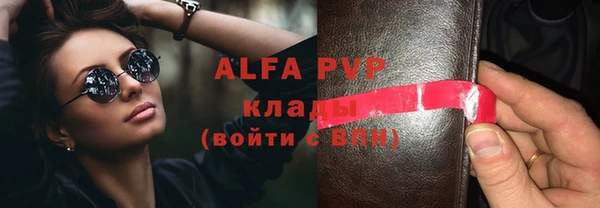 крисы Алзамай