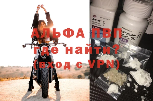 крисы Алзамай