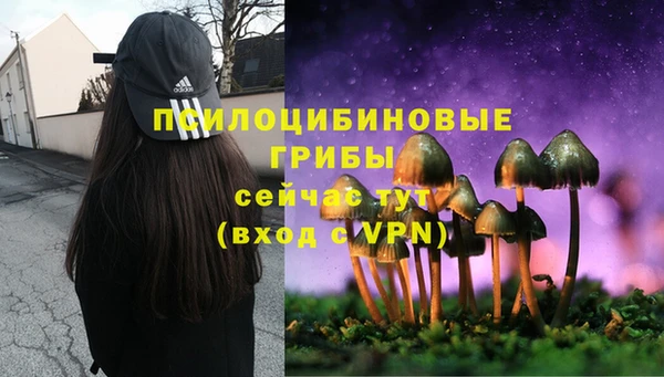 дурь Алексеевка