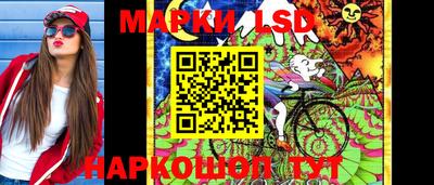 дмт Гай