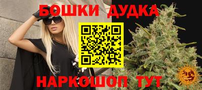jwh Гатчина