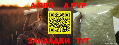 дмт Гай