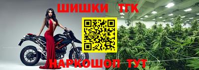 дмт Гай
