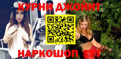 дмт Гай