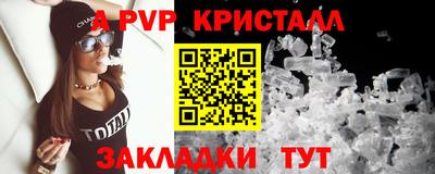 дмт Гай