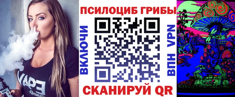 Галлюциногенные грибы MAGIC MUSHROOMS  купить закладку  Светлоград 