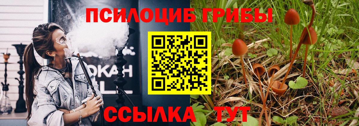 Псилоцибиновые грибы мицелий  Вход с VPN  Галлюциногенные грибы MAGIC MUSHROOMS  Светлоград 